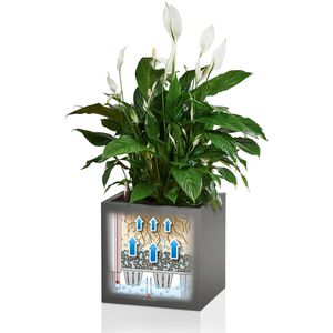 Produktbild für Übertopf Lechuza CANTO Premium 40 low, anthrazit, 40x40x40 cm