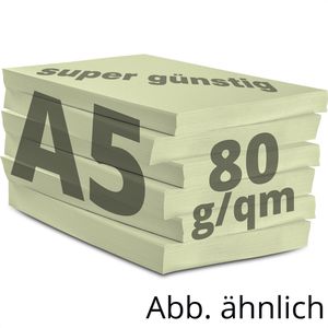 Produktbild für Kopierpapier Papyrus Rainbow 88373753