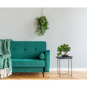 Produktbild für Kunstpflanze Creativ-green Bonsai Kiefer