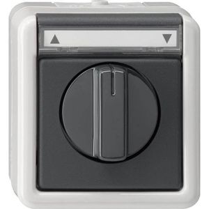 Jalousieschalter Gira 015430, grau