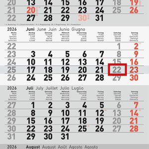 Produktbild für 4-Monatskalender Rido-Ide 7033420006, mit Ferienübersicht