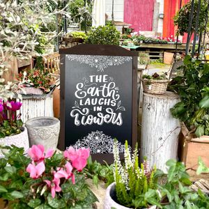 Produktbild für Kreidestifte Schneider Maxx 265, farbig sortiert