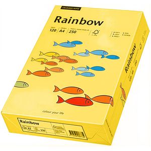 Produktbild für Kopierpapier Papyrus Rainbow 88042392