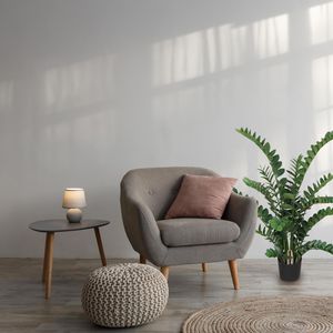 Produktbild für Kunstpflanze Creativ-green Zamiifolia