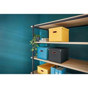 Produktbild für Aufbewahrungsbox Leitz 5347-00-19 Click&amp;Store Cosy