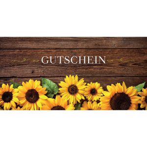 Produktbild für Gutscheinkarte Sigel DS101, 105 x 210mm