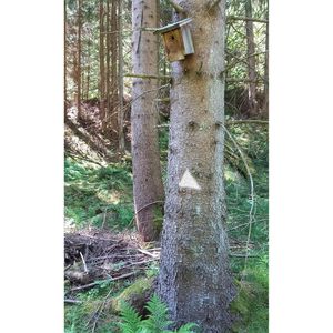 Produktbild für Markierungsspray Stanger Forst-Markierer, weiß