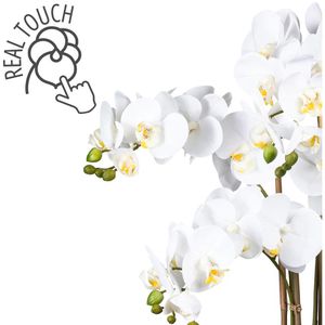 Böttcher – Höhe 75 Vase, weiß, Kunstblume Phalaenopsis, Orchidee, in cm AG Creativ-green