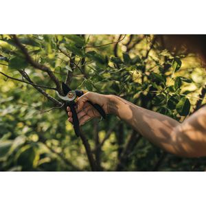 Produktbild für Gartenschere Fiskars Solid M P321, 1057162, Bypass