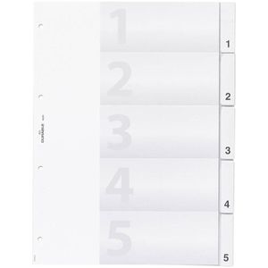 Register Durable 6820-19, A4, blanko