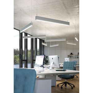 Produktbild für Pendelleuchte Waldmann Idoo.line, mit LED
