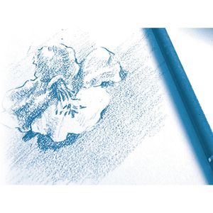 Produktbild für Zeichenblock Clairefontaine 96682C, A3