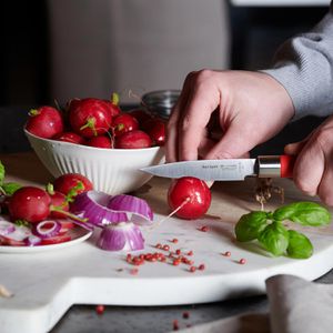 Produktbild für Gemüsemesser F.DICK Red Spirit 81747092