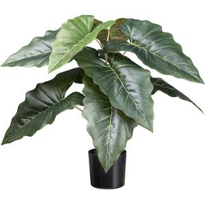 Kunstpflanze Creativ-green Taropflanze