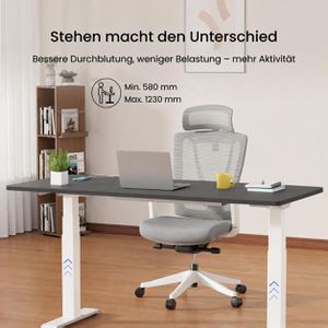 Produktbild für Schreibtisch FlexiSpot E7B 2026, schwarz / weiß