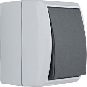 Produktbild für Lichtschalter REV-Ritter AquaForm, grau