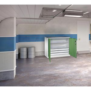 Produktbild für Werkzeugschrank CP-Möbel 8831-5035, aus Metall, grau / grün