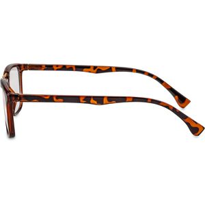 Produktbild für Lesebrille Filtral Stockholm F4560340, Unisex