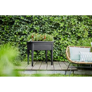 Produktbild für Hochbeet elho Green Basics Anzuchttisch XXL, Kunststoff