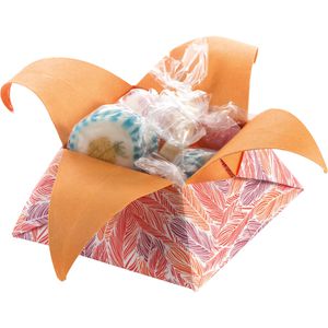 Produktbild für Faltblätter Folia 495/1515 Wildlife