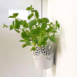 Produktbild für Doppelseitiges-Klebeband smart Nano Tape