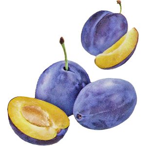 Produktbild für Trockenfrüchte Alnatura Pflaumen, ungeschwefelt, BIO