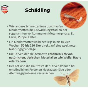 Produktbild für Mottenschutz Nexa-Lotte Motten-Papier