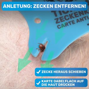 Produktbild für Zeckenkarte BluePet Tick Card, mit Lupe
