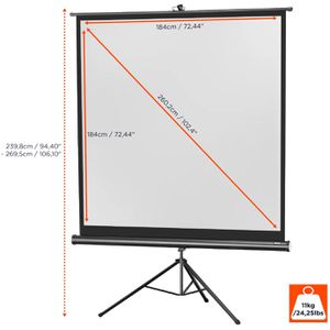 Produktbild für Beamer-Leinwand Celexon Economy