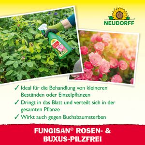 Produktbild für Fungizid Neudorff Fungisan Rosen- &amp; Buxus-Pilzfrei