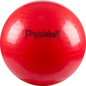 Gymnastikball PEZZI Standard Physioball, Pezziball