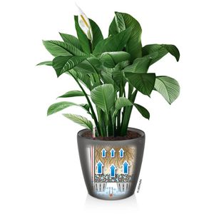 Produktbild für Übertopf Lechuza CLASSICO LS 21, anthrazit metallic, Ø 22x20cm