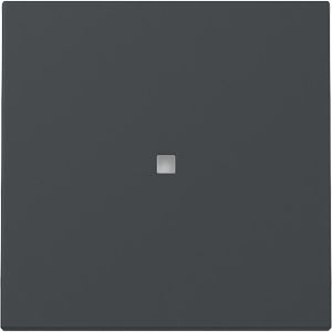 Schalter-Wippe Gira System 55, 329028