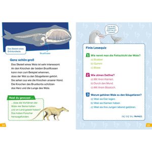 Produktbild für Spielbuch WAS-IST-WAS Erstes Lesen Band 1 - Wale und Delfine