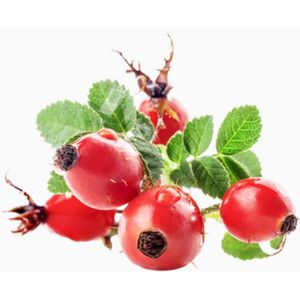 Produktbild für Tee Teekanne Hagebutte