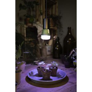Produktbild für Pflanzenlampe OSRAM Star Grow T, mit LED, Vollspektrum