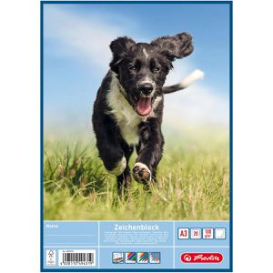Produktbild für Zeichenblock Herlitz 494310, A3