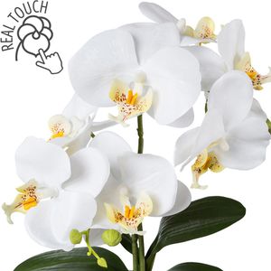 Produktbild für Kunstblume Creativ-green Orchidee, Phalaenopsis