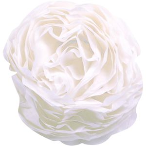Produktbild für Seidenpapier Clairefontaine 394001C, weiß