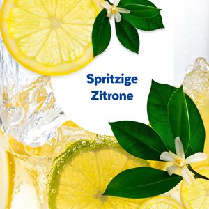 Produktbild für Allzweckreiniger Sagrotan Spritzige Zitrone