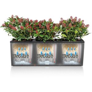 Produktbild für Pflanzkasten Lechuza TRIO Cottage 40 mokka