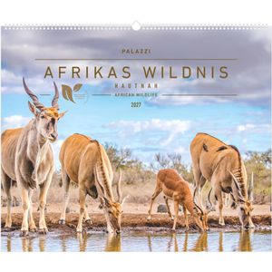 Produktbild für Bildkalender Palazzi 115901 Afrikas Wildnis Hautnah, Jahr 2027