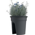 Produktbild in Größe 120