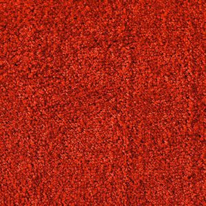 Produktbild für Schmutzfangmatte Floordirekt Rhine