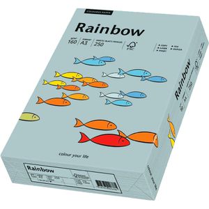 Produktbild für Kopierpapier Papyrus Rainbow 88042704