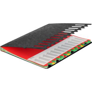 Produktbild für Ordnungsmappe Leitz 5912-00-95, Deskorganizer, A4