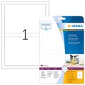 DVD-Einleger