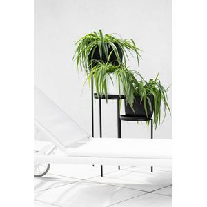 Produktbild für Blumenständer Prosperplast Tol Stand, schwarz