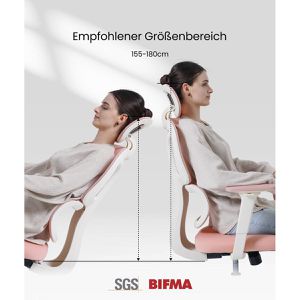 Produktbild für Bürostuhl FlexiSpot BS5P