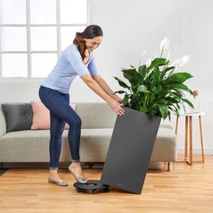Produktbild für Übertopf Lechuza CANTO Premium 40 high, anthrazit, 40x76x40 cm